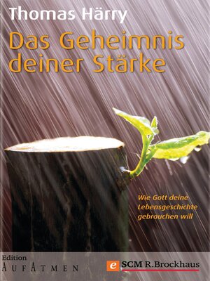 cover image of Das Geheimnis deiner Stärke